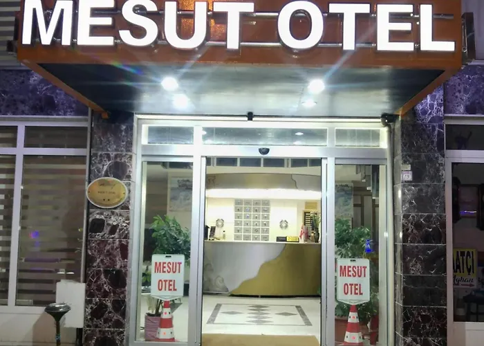 Mesut 2*